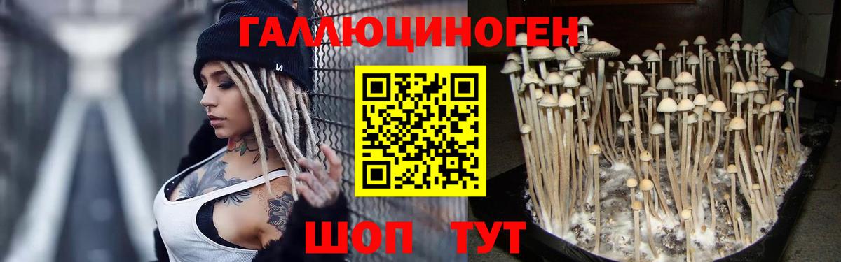 Галлюциногенные грибы Psilocybine cubensis  Вход с VPN  Кропоткин 